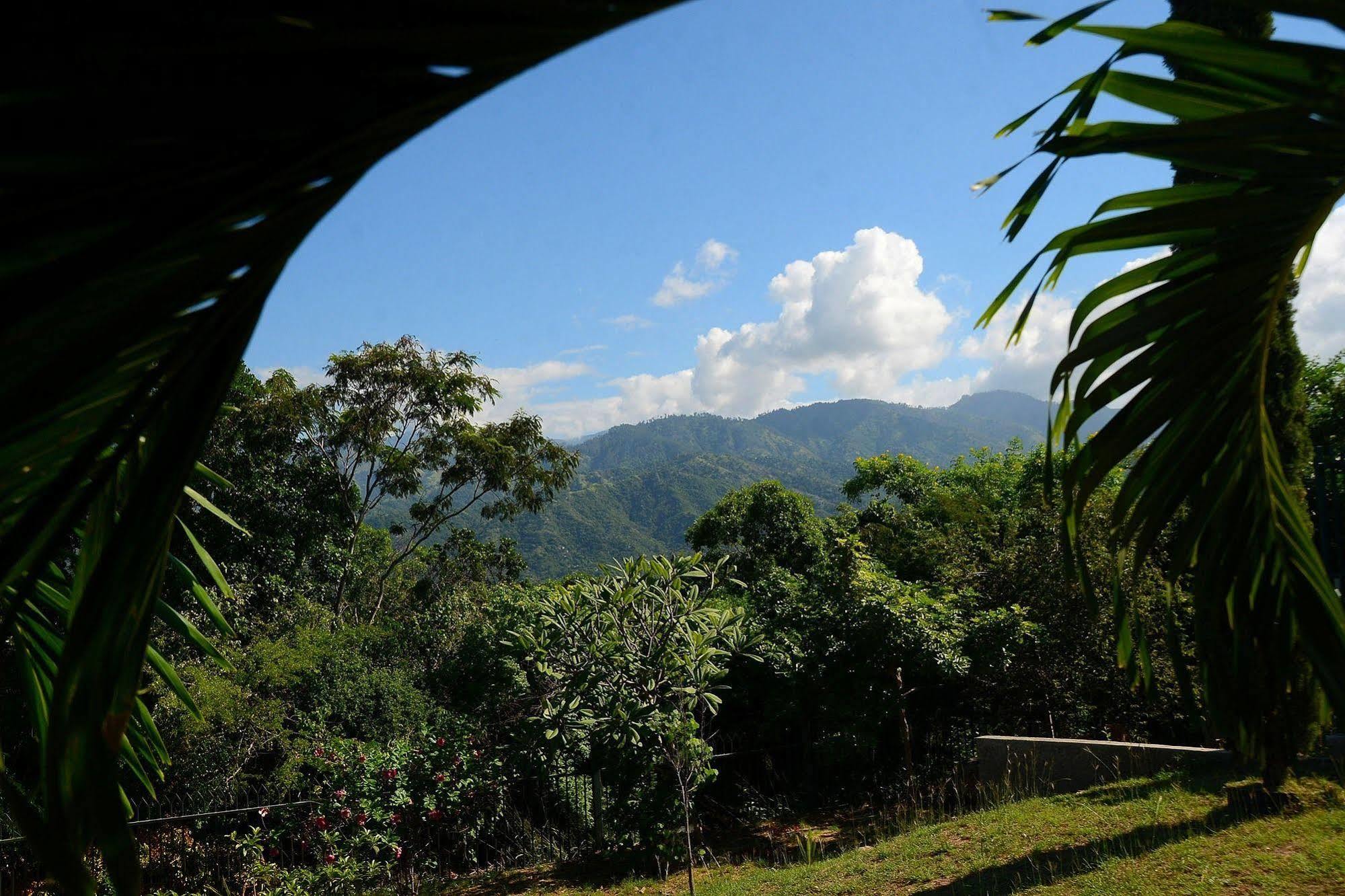 The Cabin At Long Mountain Country Club คิงส์ตัน ภายนอก รูปภาพ